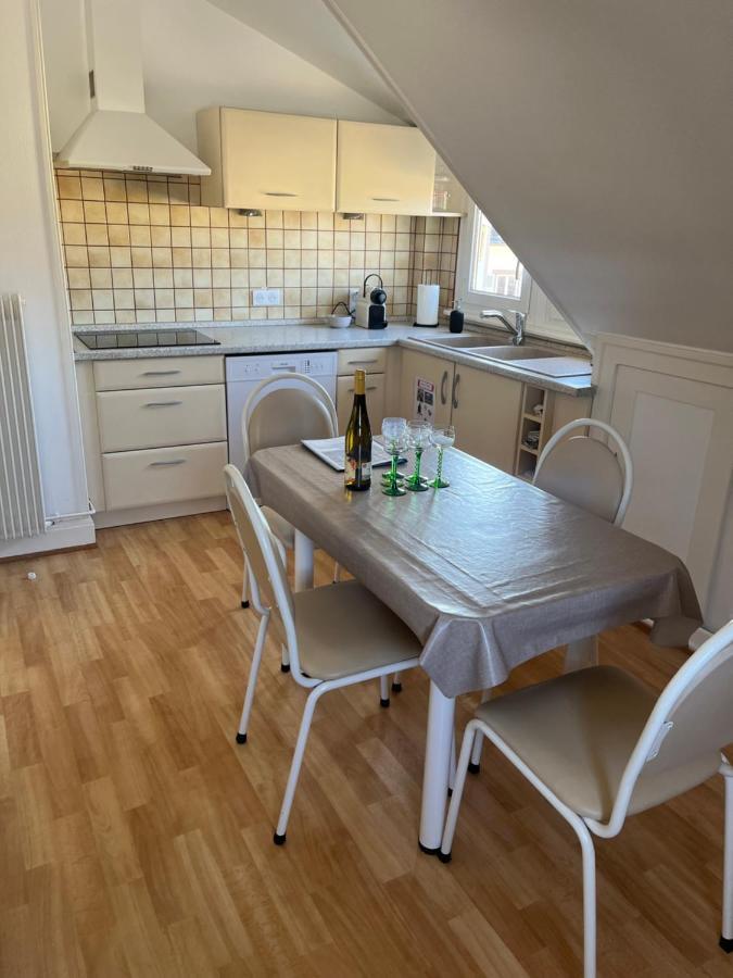 Bel Appartement Centre Climatise Parking Prive Colmar Dış mekan fotoğraf