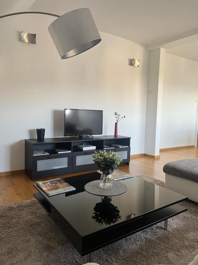 Bel Appartement Centre Climatise Parking Prive Colmar Dış mekan fotoğraf