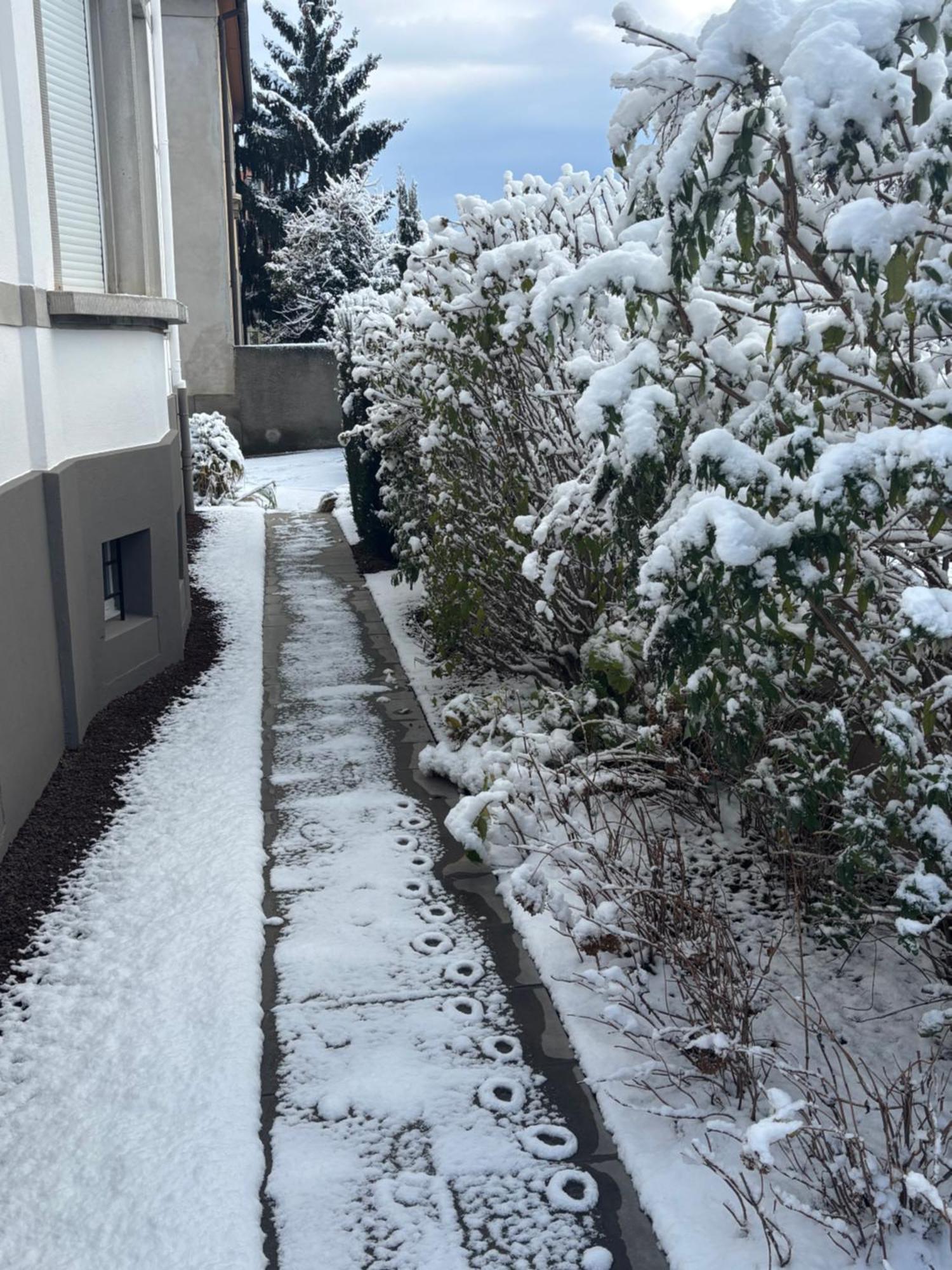 Bel Appartement Centre Climatise Parking Prive Colmar Dış mekan fotoğraf
